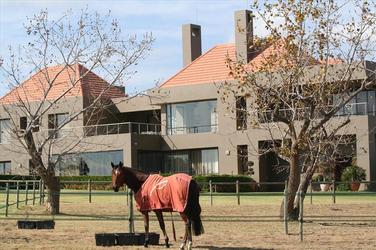 Majestic volumes and direct lines set this modern equestrian manor home apart from the country side where horses are at play.