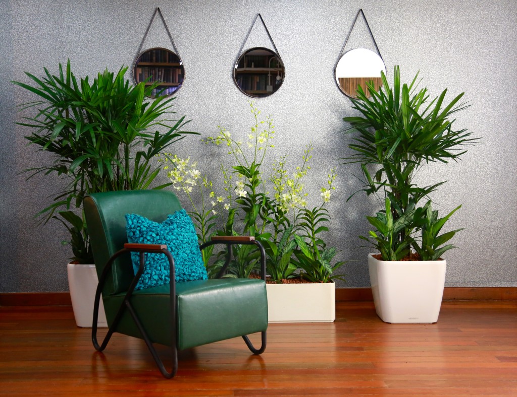 orchids.wallpaper.greenchair.chair.mirror